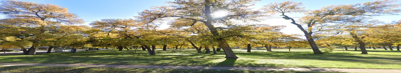 Tree-lined park featured by Overton Park Neighborhood Association.